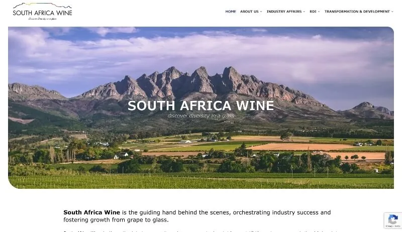 South Africa Wine